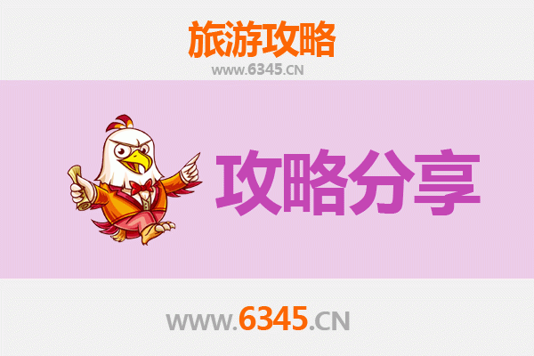 亳州利辛旅游攻略：跟团与自由行全方位解析