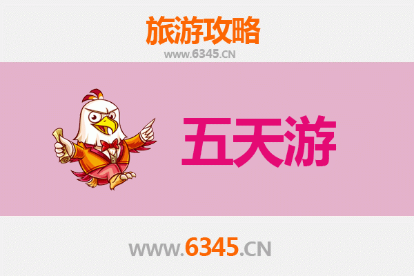 亳州利辛五天四夜深度游攻略：探索皖北人文与自然之美
