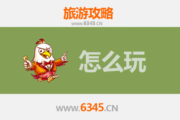 节假日畅游亳州利辛：历史文化与自然风光的完美之旅